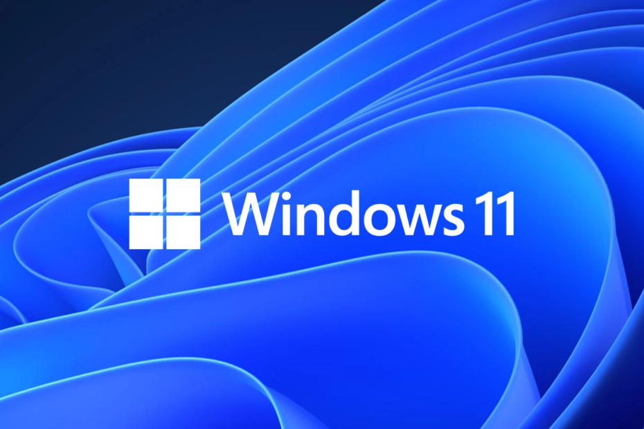 Cambiare DNS con Windows 11