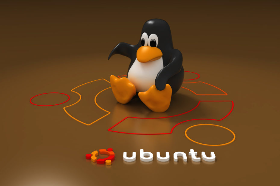 Cambiare DNS con Linux Ubuntu